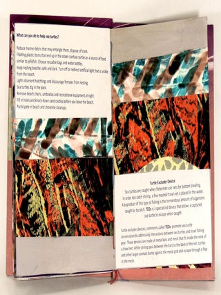 Turtle Book V11