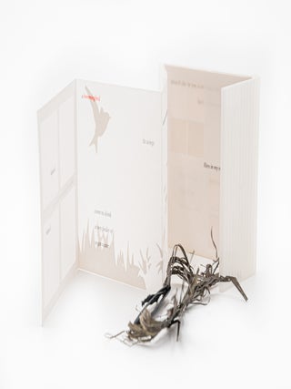 Unfolding Poems