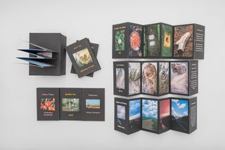 Item #38199 TravelRiffs. Marcia Ciro, book artist