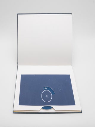 Item #38220 Disturbances. Ann Tyler, book artist