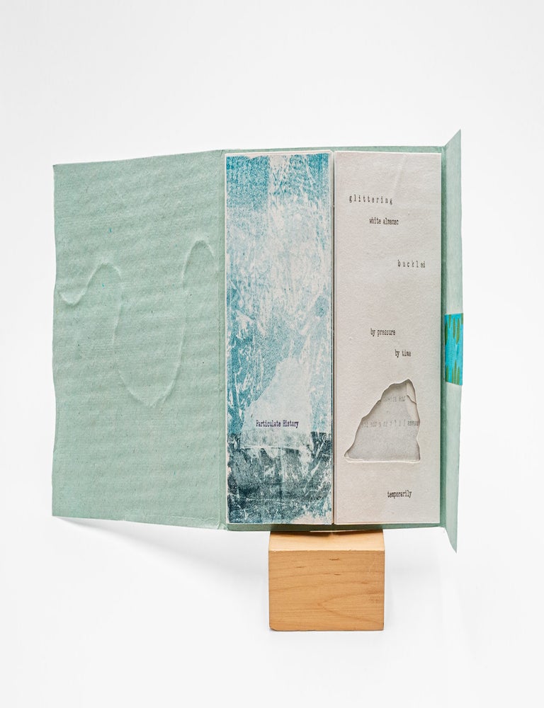 Item #38349 Particulate History. Rachel Simmons, book artist.
