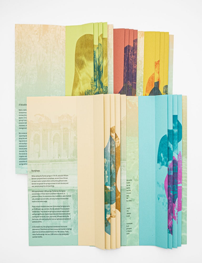 Item #38352 Nymphaea: The Sacred Waters of the Florida Springs. Rachel Simmons, book artist.