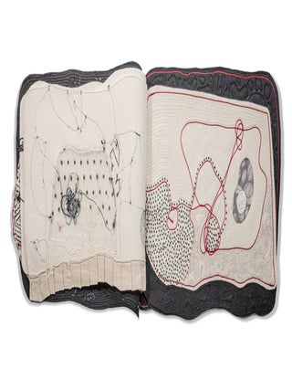 Item #38364 Ayayay. Lisa Kokin, book artist