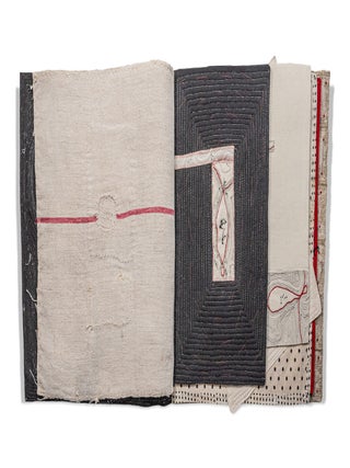Item #38365 Abode. Lisa Kokin, book artist